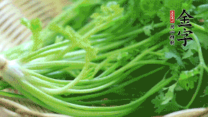 挑選鮮嫩的香菜，洗干凈后，處理成小段。